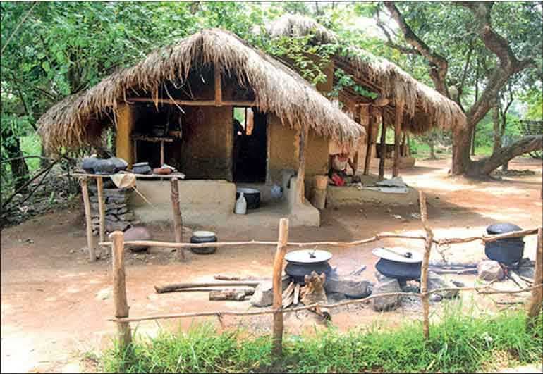 Village life in Pachchilaipalli